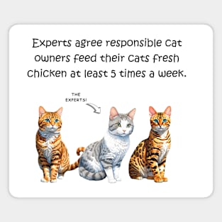 Experts agree responsible cat owners feed their cats fresh chicken at least 5 times a week - funny watercolour cat design Magnet